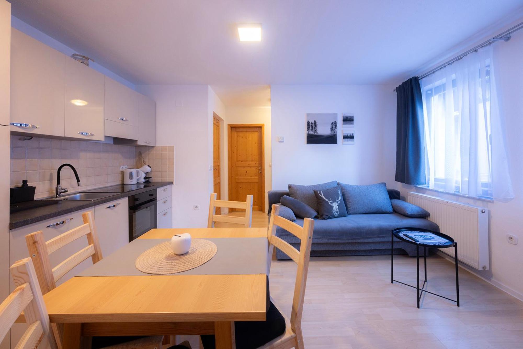 Apartmaji Anze קרנייסקה גורה חדר תמונה